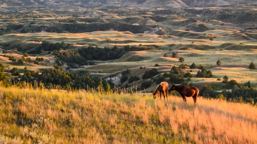 theodore roosevelt national park