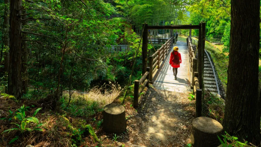 trekking in kumano kodo