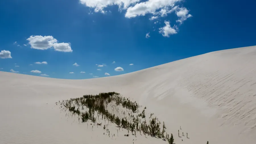 white sand dunes
