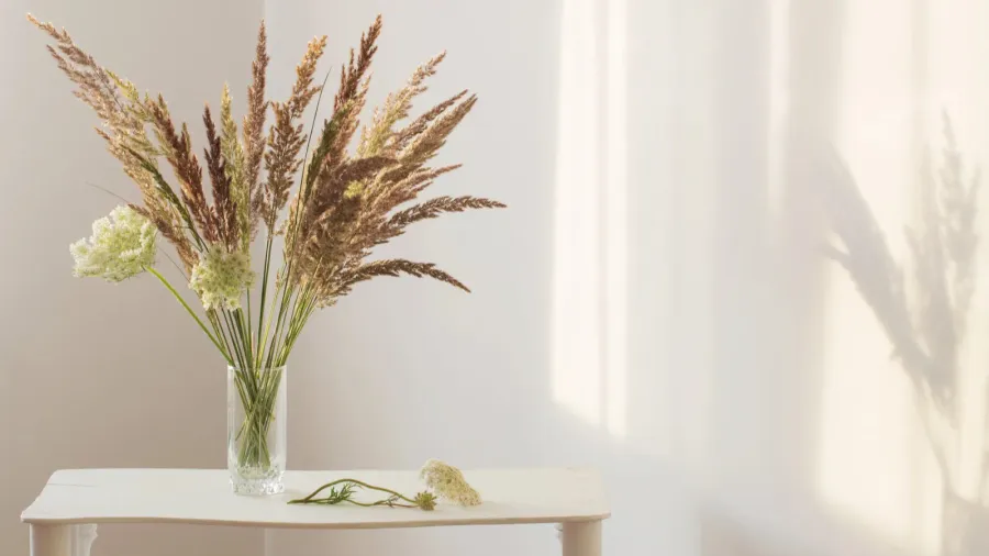 wild grass plants in glass vase in sunlight in white